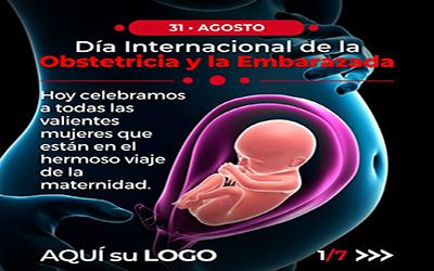 31 • AGOSTO • DÍA INTERNACIONAL DE LA OBSTETRICIA Y LA EMBARAZADA